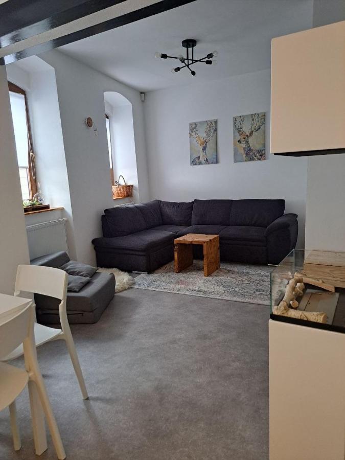 Casa Santini Villa Jáchymov Eksteriør billede